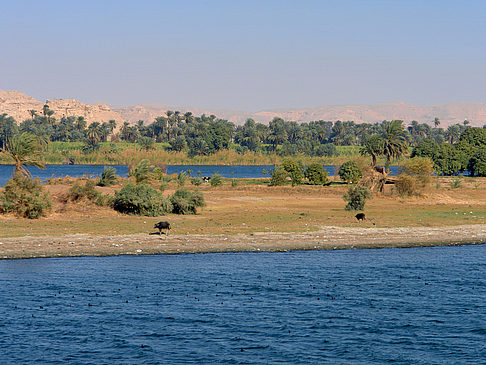 Ufer Fotos