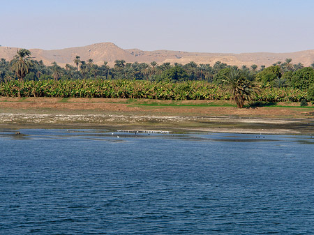 Ufer
