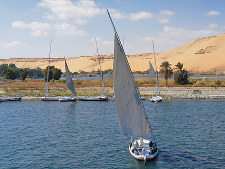 Felucca Fotos