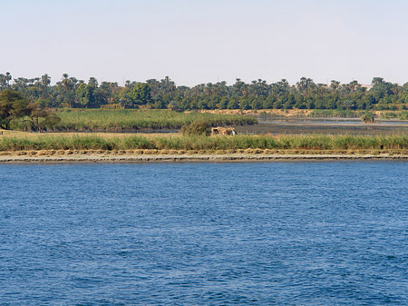 Ufer Fotos
