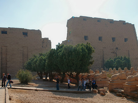 Karnak Tempel Foto 