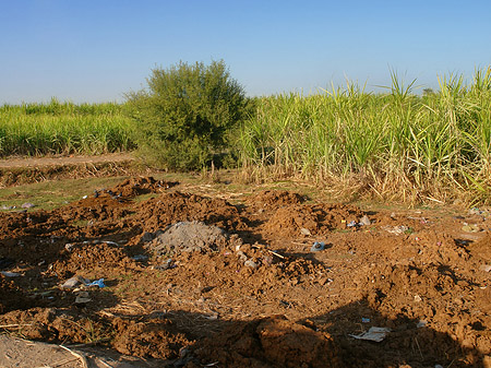 Foto Ackerland - Luxor