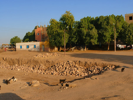 Fotos Hütten | Luxor