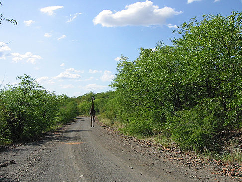 Foto Straßen