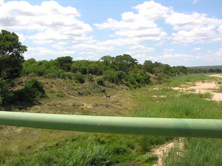 Foto Zahmes Wild - 