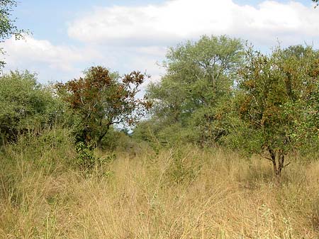 Landschaften Foto 
