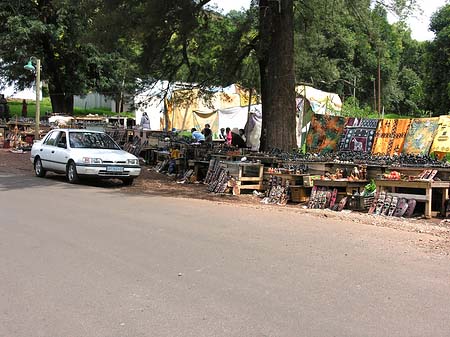 Foto Straßenränder - Hazyview