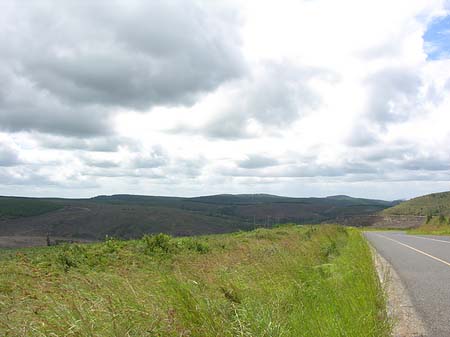 Straßenränder