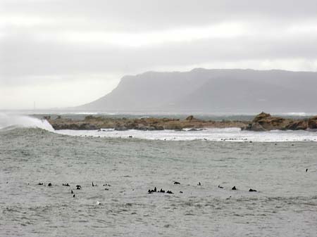 Der Tafelberg hinter dem Meer Foto 