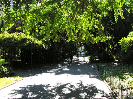 Foto Kapstadt und Camps Bay - 