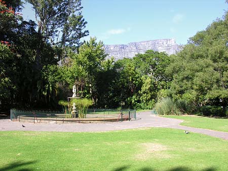 Kapstadt und Camps Bay Foto 