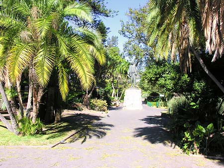 Kapstadt und Camps Bay Foto 