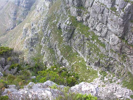 Fotos Kapstadt und Umgebung